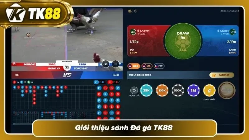 Vài nét về chọi gà tại TK88
